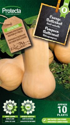 Zucchini Butternut – Protecta Samen bäuerl