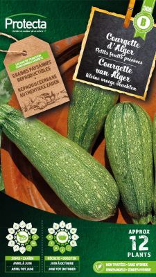 Zucchini Alger – Protecta Samen bäuerl
