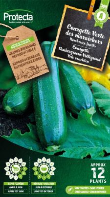 Zucchini Verte des maraîchers – Protecta Samen bäuerl