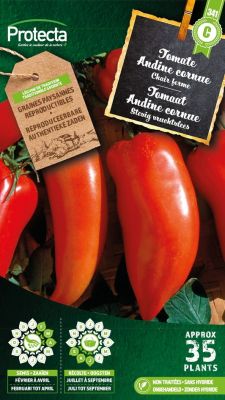Gehörnte Andine Tomate- Protecta Samen bäuerl