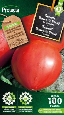Tomate Coeur de Bœuf – Protecta Samen bäuerl
