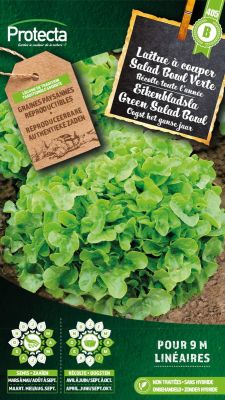 Schnittsalat Salad Bowl Grün – Protecta Samen bäuerl