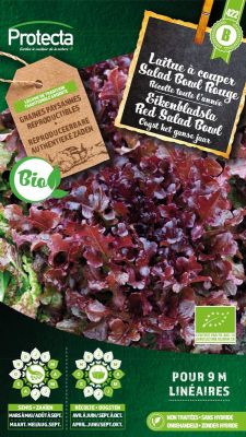 Schnittsalat Salad Bowl Rot BIO – Protecta Samen bäuerl