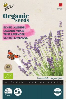Buzzy Organic Echter Lavendel (BIO)
