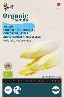 Buzzy Organic Zichoriensalat Brüsseler Hollandse Middelvroeg (BIO)