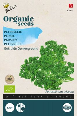 Buzzy Organic Petersilie Frisé vert foncé (BIO)