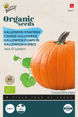 Buzzy Organic Halloween-Kürbis Jack O’lantern (BIO)