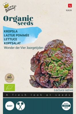 Buzzy Organic Kopfsalat Merveille des quatre saisons (BIO)