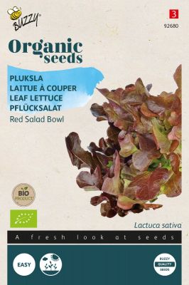 Buzzy Organic Pflücksalat Red Salad Bowl (BIO)