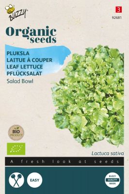 Buzzy Organic Pflücksalat Salad Bowl, grün (BIO)