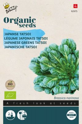 Buzzy Organic Japanische Tatsoi Einjährig (BIO)