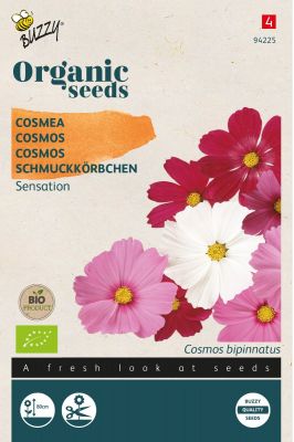 Buzzy Organic Schmuckkörbchen Sensation Mischung (BIO)