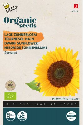Buzzy Organic Niedrige Sonnenblume Sunspot (BIO)