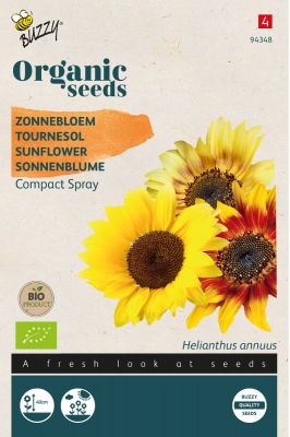 Buzzy Organic Sonnenblume, Compact Spray Mischung (BIO)