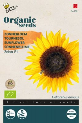 Buzzy Organic Sonnenblume Zohar F1 (BIO)
