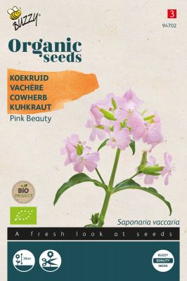 Buzzy Organic Seifenkräuter, Kuhnelke Pink Beauty (BIO)