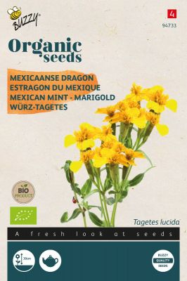 Buzzy Organic Würz-Tagetes (BIO)