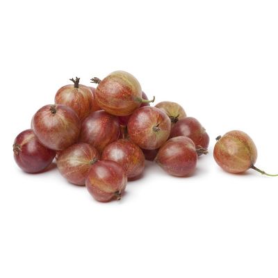 Ribes uva crispa 'Hinnonmaki Röd'